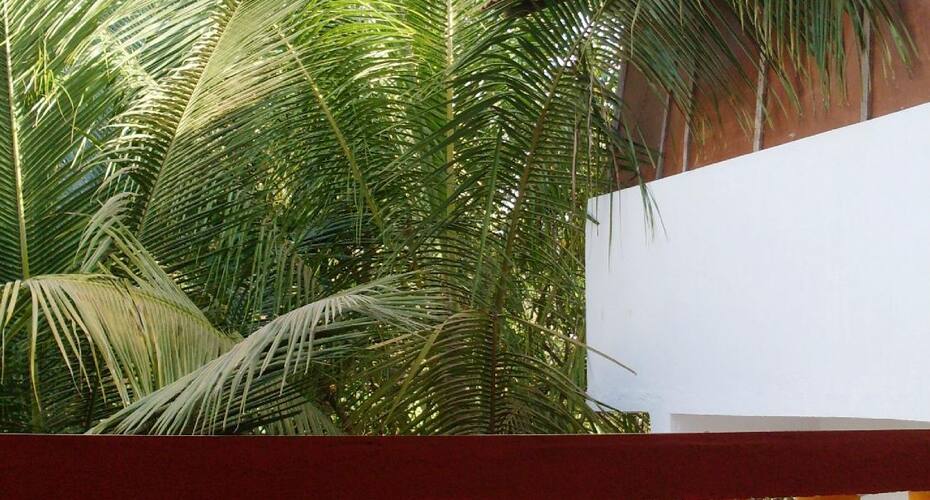 V & M Calisto Guest House, Goa 5